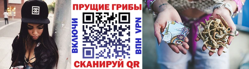 OMG ТОР  Звенигород  Псилоцибиновые грибы Cubensis 