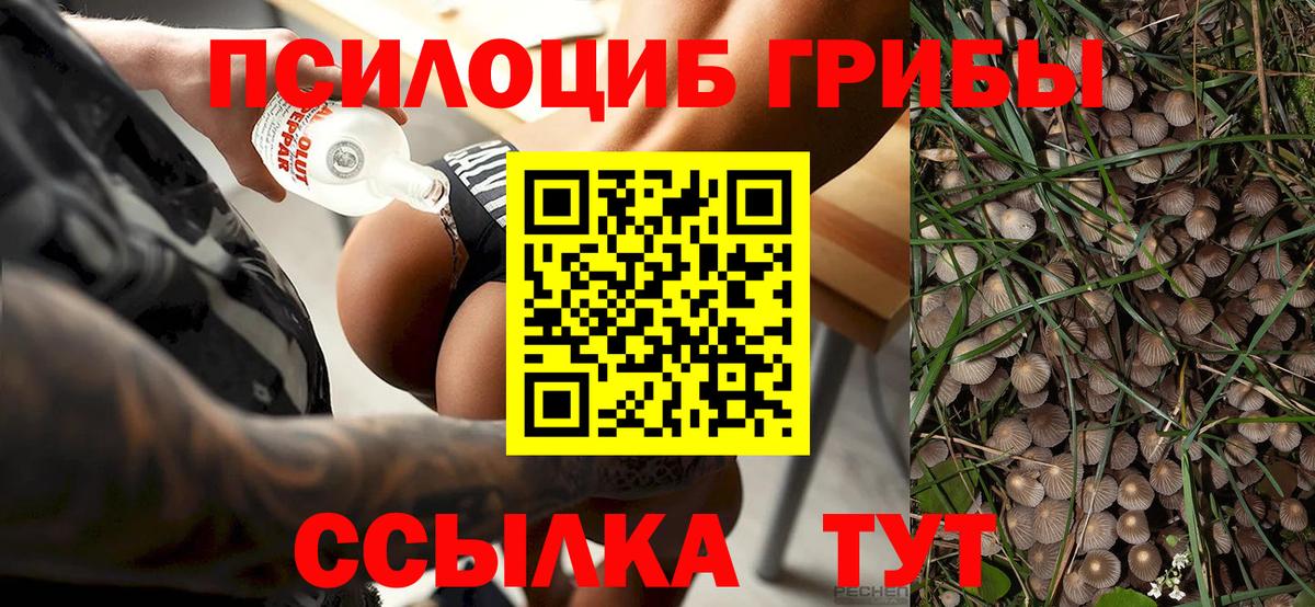 Звенигород  Галлюциногенные грибы Magic Shrooms  Вход с VPN 